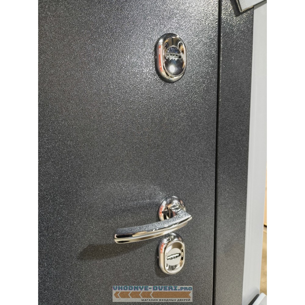 Дверь Бульдорс TERMO MIRROR